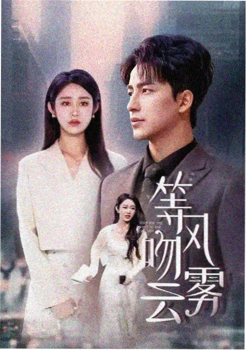 白墙之内 悬疑剧集在线观看封面