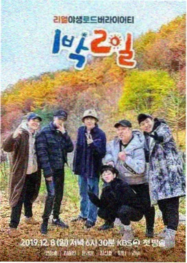 深夜食堂对谈 谈话综艺在线观看封面
